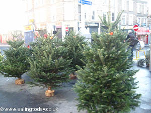 xmas