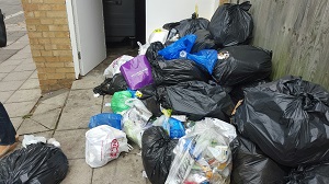 rubbish2