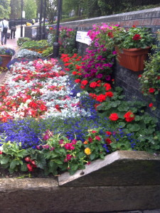 garden1