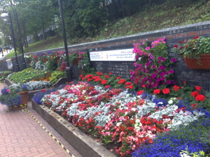 garden2