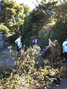 gardening1
