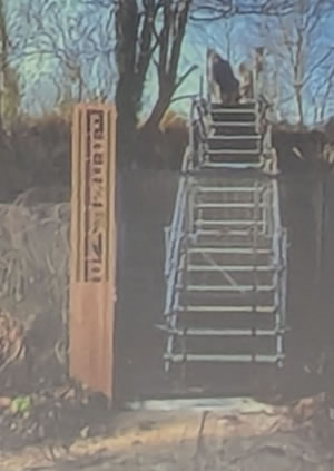 Beeline sign 