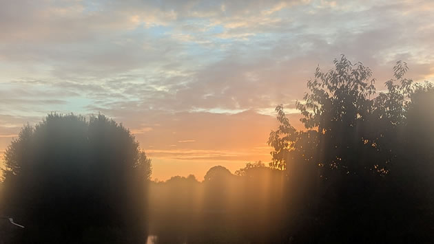 Dawn view 