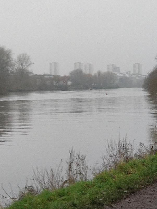 A picture containing outdoor, water, grass, river Description automatically generated