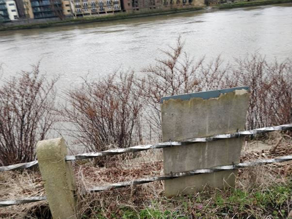 A picture containing outdoor, tree, grass Description automatically generated