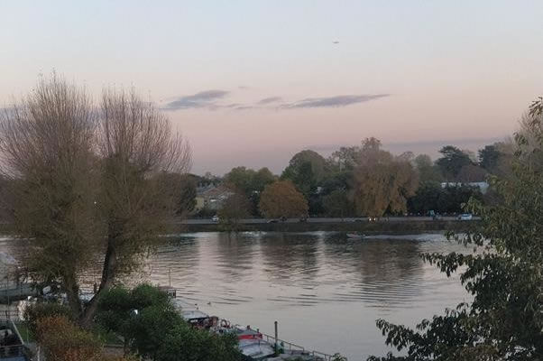 A large body of water surrounded by trees Description automatically generated