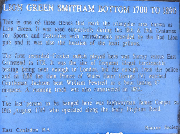 Lion Green Plaque 