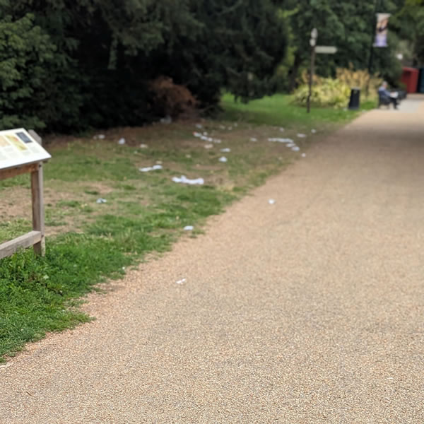 Litter on verge 