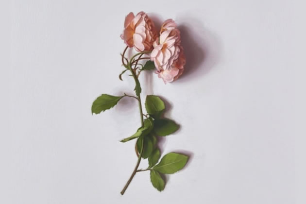 Alison Watt, The Day After (detail), 2023. Oil on canvas, 80&times;78cm
