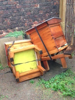 apiary damage