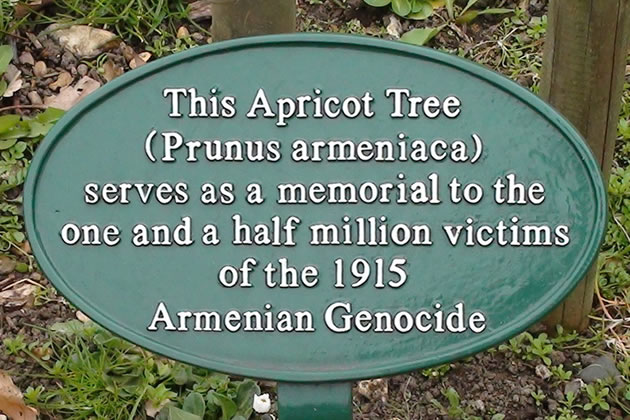 The commemoration will take place next to the tree on Ealing Green