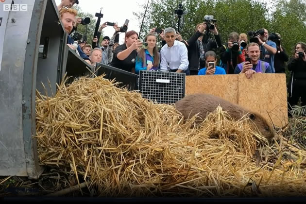 The Mayor and the press watch on as the release takes place