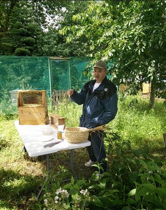 bee man Tom