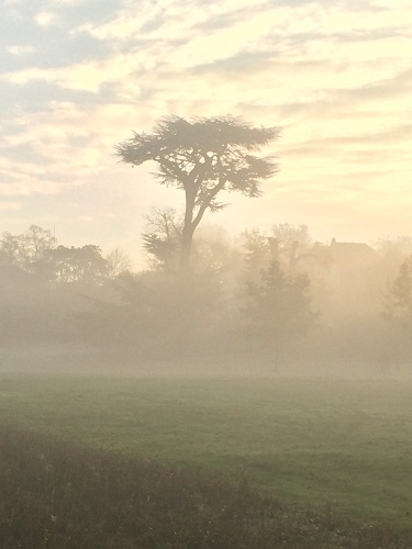 Jon Freeman Walpole Park