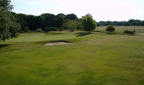 The Fifth Green&nbsp;