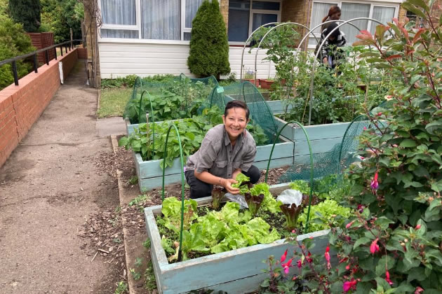 Martha with the lettuce crop at the Brickfield allotment