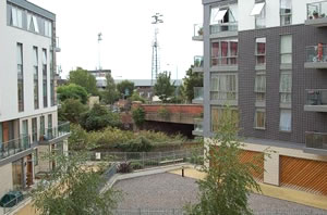 trico house